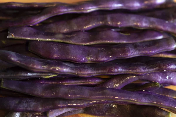 Fresh purple bean pods, close-up