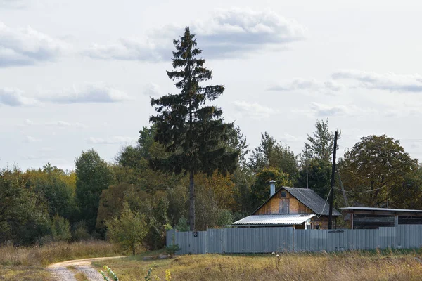 Holzhaus Einem Russischen Dorf Der Nähe Des Waldes Mit Schöner — Stockfoto