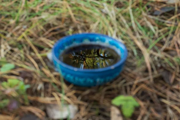 A beautiful reflection of the autumn forest in a bowl with tea.