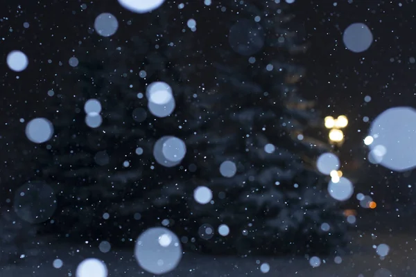 Fondo Invierno Borroso Nevando Sobre Fondo Árboles Navidad Nevados Parque — Foto de Stock