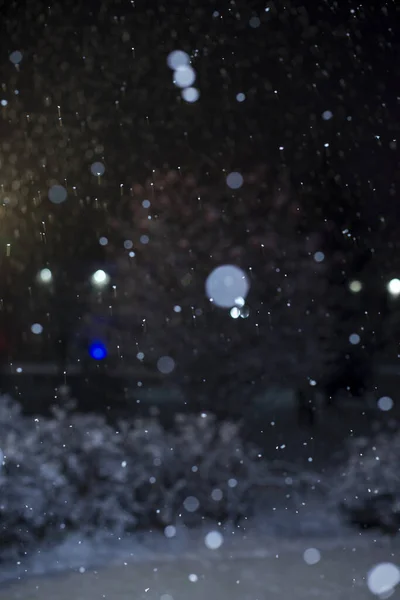 Vintern Suddig Bakgrund Fallande Snö Bakgrund Ett Träd Snöig Park — Stockfoto