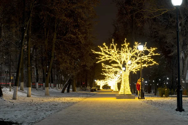 Árboles Parque Decorados Con Brillantes Luces Cálidas Para Navidad Año — Foto de Stock