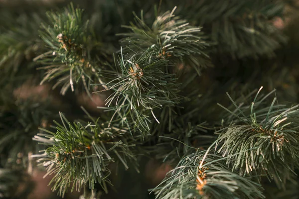 Arkaplan soyutlama faturası illüstrasyon ögesi