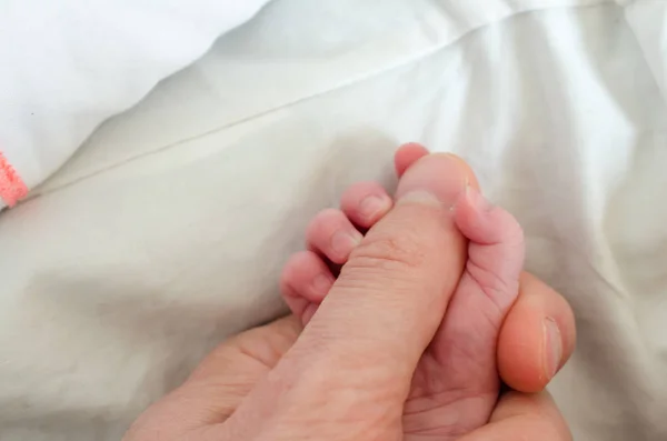 Hand Van Pasgeboren Baby Die Vinger Van Een Mannelijke Volwassene — Stockfoto