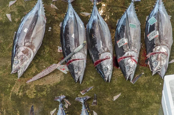 Bovenaanzicht Japanse Vismarkt Met Tonijn — Stockfoto