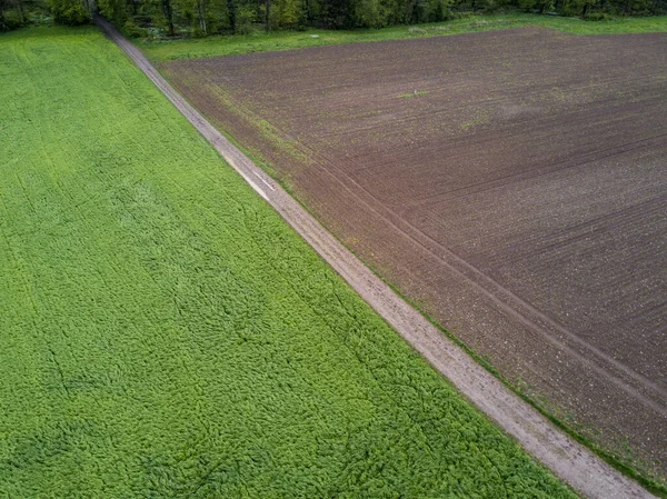 Vista Aérea Campos Cultivo — Foto de Stock