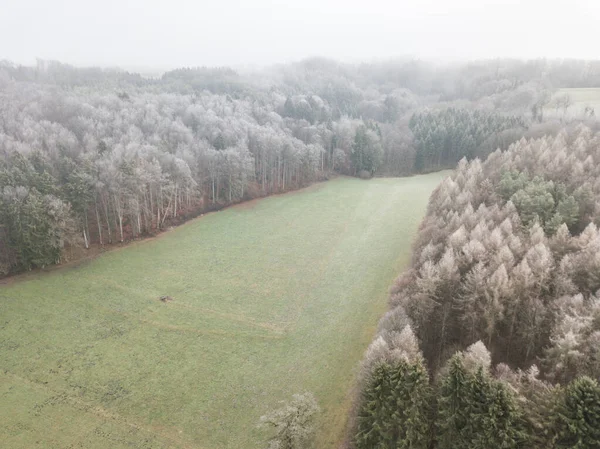 Flygfoto Träd Täckta Med Hesparfrost Kall Vinterdag — Stockfoto