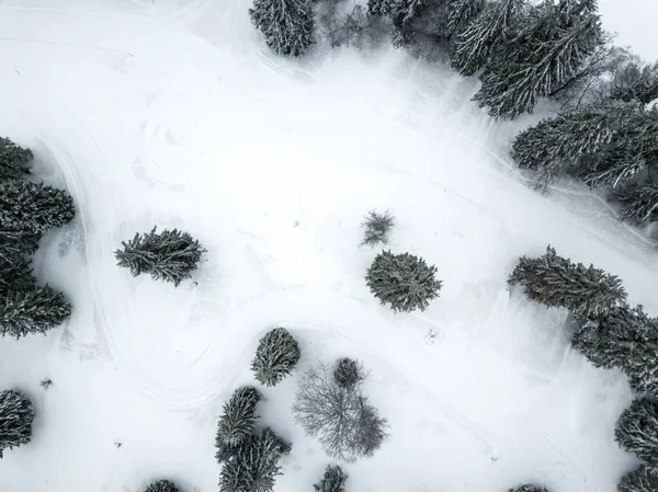 Flygfoto Granar Snötäckt Vinterlandskap — Stockfoto