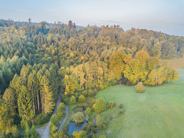 Vista Aerea Della Foresta Dell Area Aperta Svizzera Dall Alto — Foto Stock