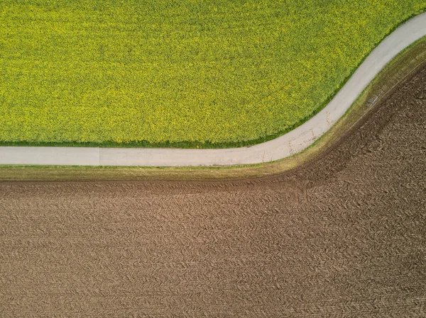 Aerial View Crop Fields — Stock Photo, Image
