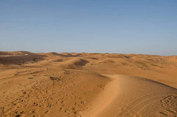 Zandduinen Met Windpatroon Wahiba Zandwoestijn — Stockfoto