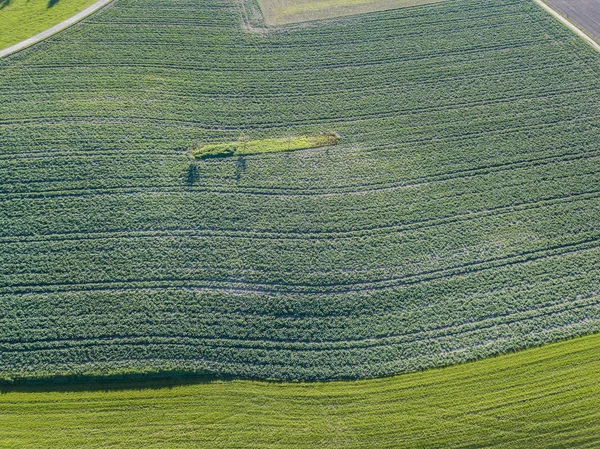 Overhead View Agricultural Field Europe — Stock Photo, Image