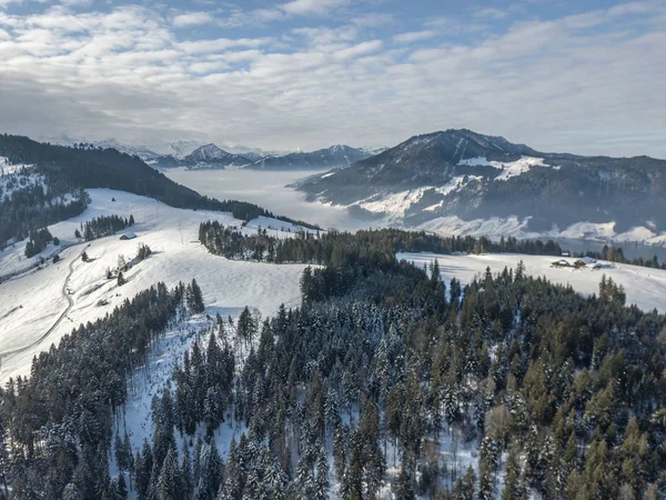 Vista Aérea Tala Bosques Deforestados Suiza — Foto de Stock