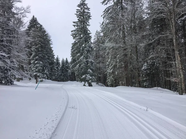 İsviçre 'de kros kayak pisti. Jura 'da İzler