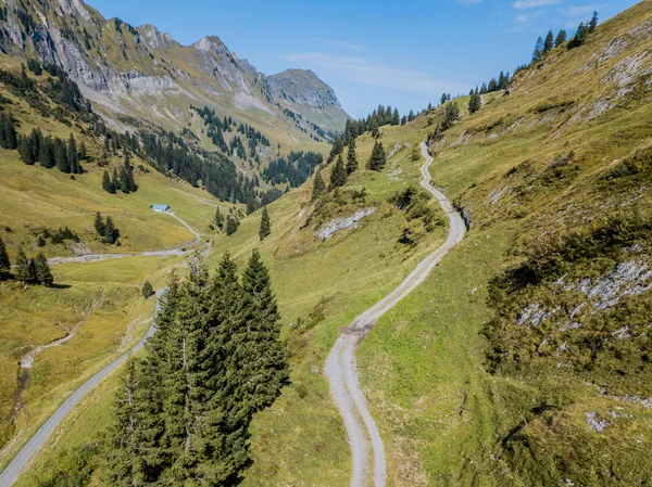 Aerial View Path Trough Forest Switzerland — Stockfoto