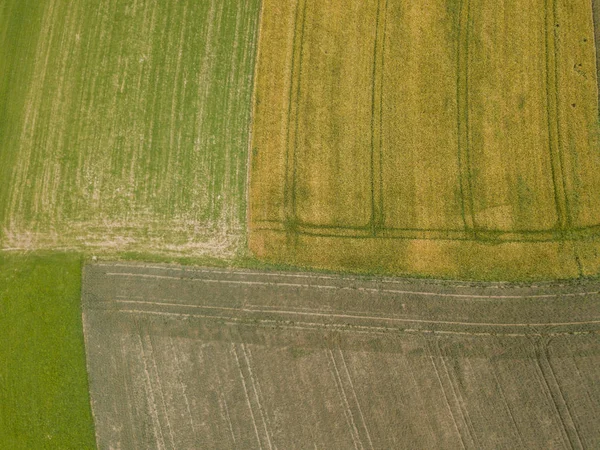 Luftaufnahme Landwirtschaftlicher Felder Mit Wald Hintergrund — Stockfoto