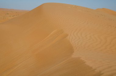 Wahiba çölünde rüzgar desenli kum tepeleri