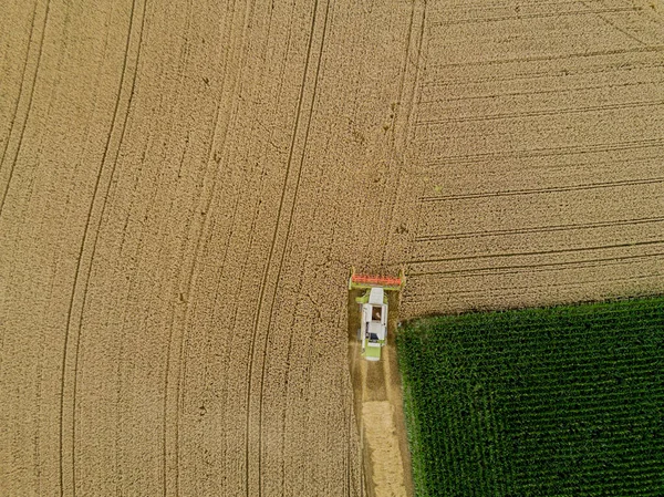 Vista Aerea Mietitrebbia Terreni Agricoli Svizzera — Foto Stock