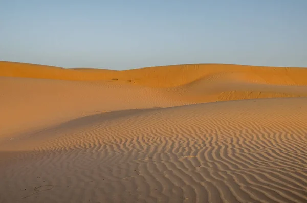 Zandduinen Met Windpatroon Wahiba Zandwoestijn Avond — Stockfoto