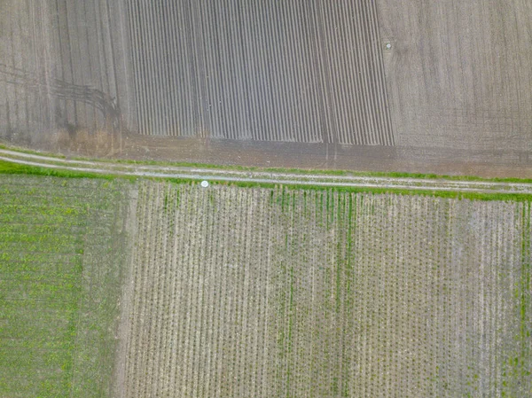 Vista Aérea Del Campo Agrícola — Foto de Stock