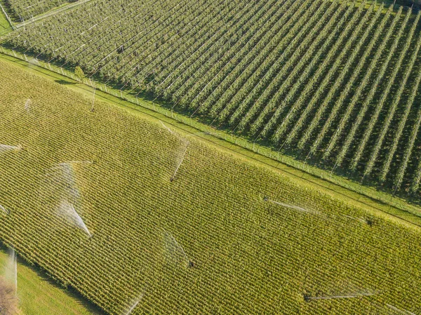 Veduta Aerea Del Sistema Irrigazione Nei Terreni Agricoli Europei Acqua — Foto Stock