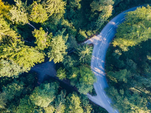 Pemandangan Udara Jalan Melalui Hutan Swiss — Stok Foto