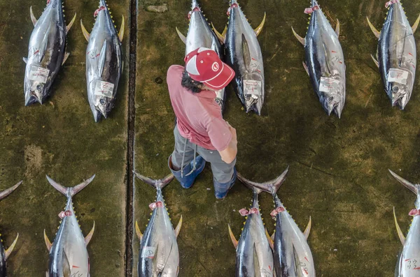 Bovenaanzicht Japanse Vismarkt Met Tonijn — Stockfoto