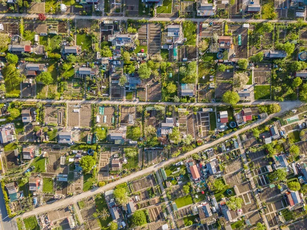 Aerial View Allotment Garden — Stock Photo, Image