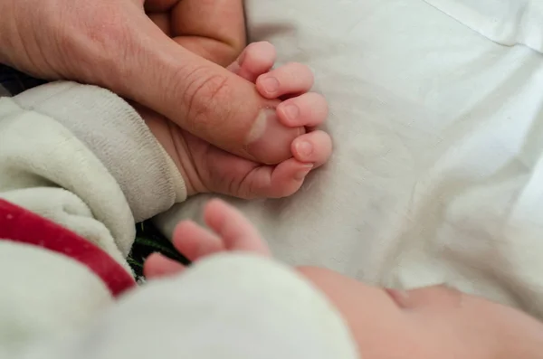 Ręka Noworodka Trzymająca Palec Dorosłego Mężczyzny Pojęcie Pomocy Rodziny Ojciec Zdjęcie Stockowe