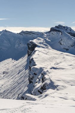 Karla kaplı ormanın hava manzarası sakin