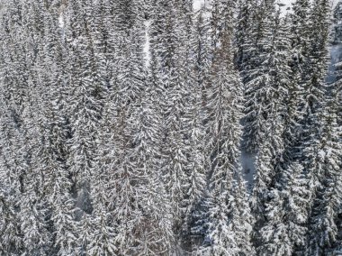 İsviçre Alpleri 'ndeki köknar ağaçlarıyla kaplı uzak vadinin havadan görünüşü