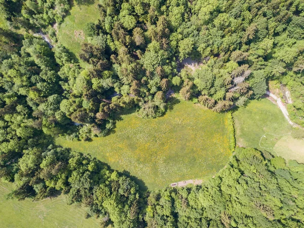 スイスの田園風景の中の森林の空中ビュー — ストック写真