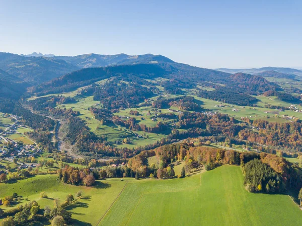 Vista Aérea Bosque Área Abierta Suiza Desde Arriba Paisaje Tranquilo — Foto de Stock