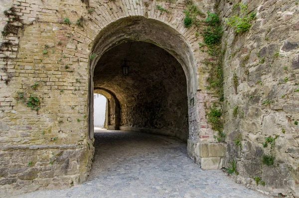 德国有防卫厅隧道的大门 — 图库照片