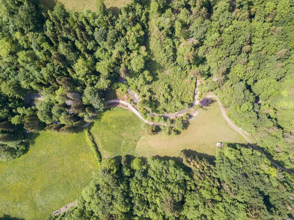 Flygfoto Skog Landsbygdslandskapet Schweiz — Stockfoto