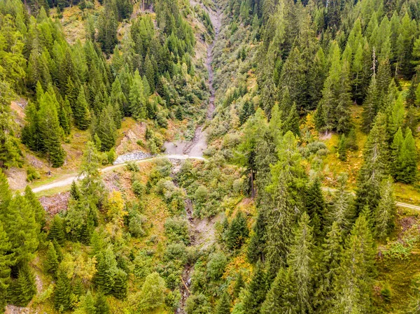 Vista Aérea Floresta Área Aberta Suíça Partir Cima Campo Calmo — Fotografia de Stock