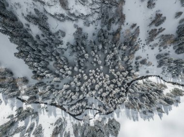 Nehir kıyısının havadan görünüşü ormanı sakin bir manzarayla kapladı.