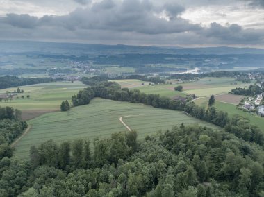 Yukarıdan, İsviçre 'deki ormanın ve açık alanın havadan görüntüsü. Sakin kırsal.