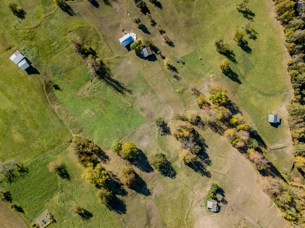 Vista Aérea Prado Região Alpina Com Pequenas Casas Árvores — Fotografia de Stock