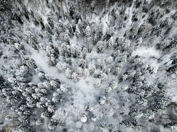 Flygfoto Granar Snötäckt Vinterlandskap — Stockfoto