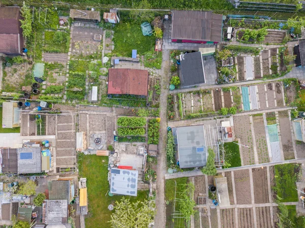 Aerial View Allotment Garden — Stockfoto