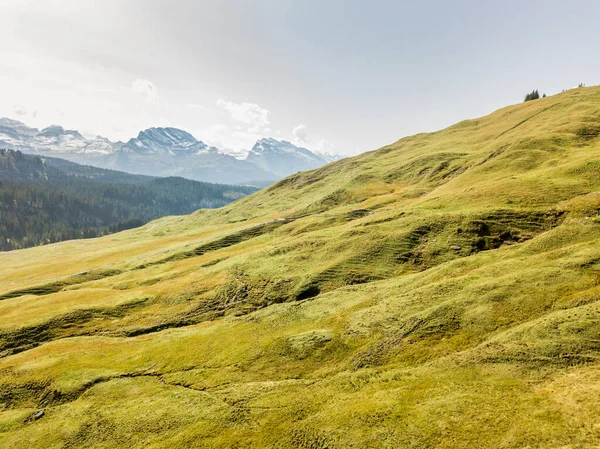 Alpine Valley Austria Summer Day — Stock Photo, Image