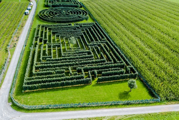 Grüne Büschlabyrinthe Heckenlabyrinth — Stockfoto
