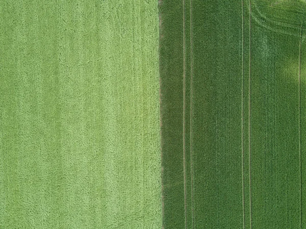 Überblick Über Den Landwirtschaftlichen Bereich Europa — Stockfoto