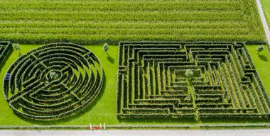 Yeşil çalılıklar labirentler, çit labirentler