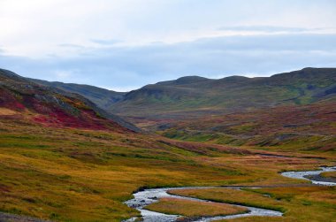 İzlanda 'daki kırmızı yosunlu tepeler Sonbaharda nehirle