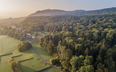 Yukarıdan, İsviçre 'deki ormanın ve açık alanın havadan görüntüsü. Sakin kırsal.