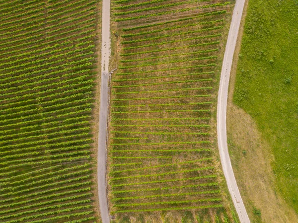 Luftaufnahme Des Landwirtschaftlichen Feldes — Stockfoto