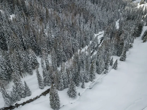 Flygfoto Över Floden Thorugh Snötäckt Skog Lugn Scen — Stockfoto