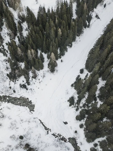 Vista Aérea Del Bosque Cubierto Nieve Del Río Thorugh Escena — Foto de Stock